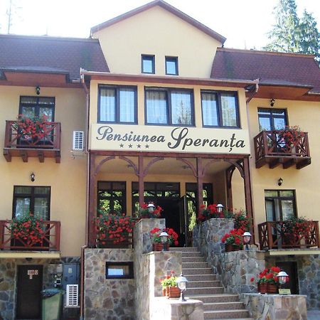 Pensiunea Speranta Hotell Sovata Eksteriør bilde